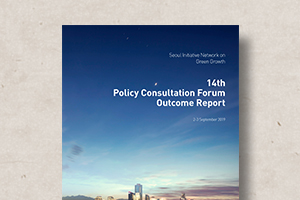 SINGG&nbsp;Forum&nbsp;Outcome&nbsp;Report