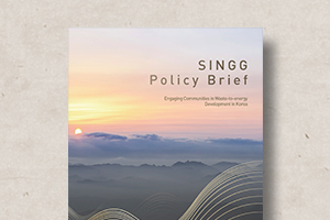SINGG&nbsp;Forum&nbsp;Policy&nbsp;Brief