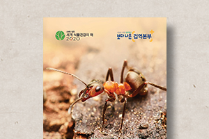 붉은불개미&nbsp;신고&nbsp;리플릿